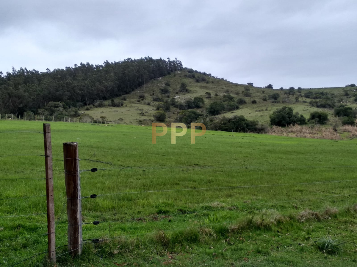 Chacra ID.2248 - Vendo excelente chacra de 39 hectÃ¡reas para granja turÃ­stica o tambo, Aigua, Punta del Este