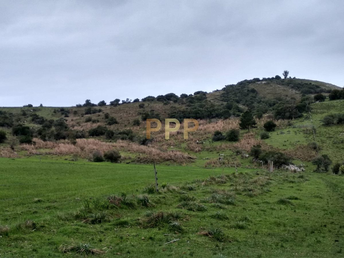 Chacra ID.2274 - Vendo excelente chacra de 39 hectÃ¡reas para granja turÃ­stica o tambo, Aigua, Punta del Este