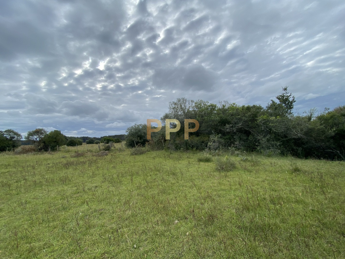 Chacra ID.3605 - En venta...chacra en zona de Ruta 9