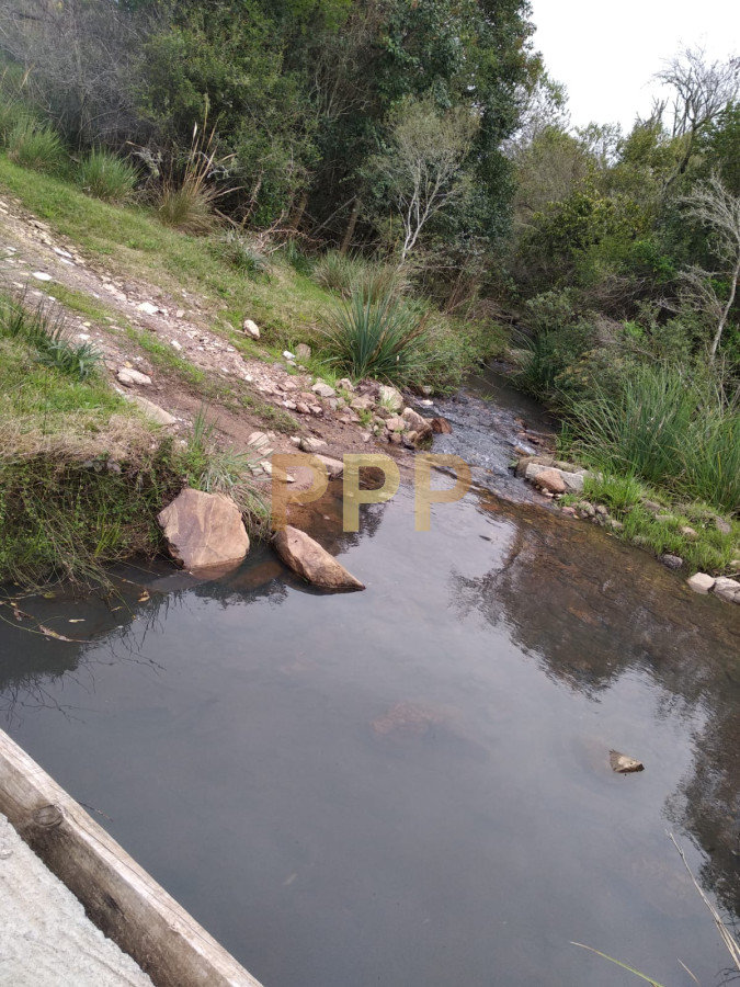 Chacra ID.2248 - Vendo excelente chacra de 39 hectÃ¡reas para granja turÃ­stica o tambo, Aigua, Punta del Este