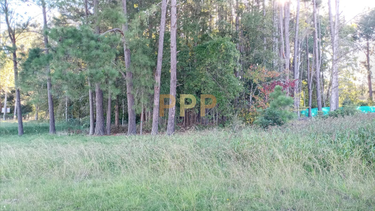 Terreno ID.3304 - Vendo Terreno 1.500 m2 en Bario Privado Verde Mora