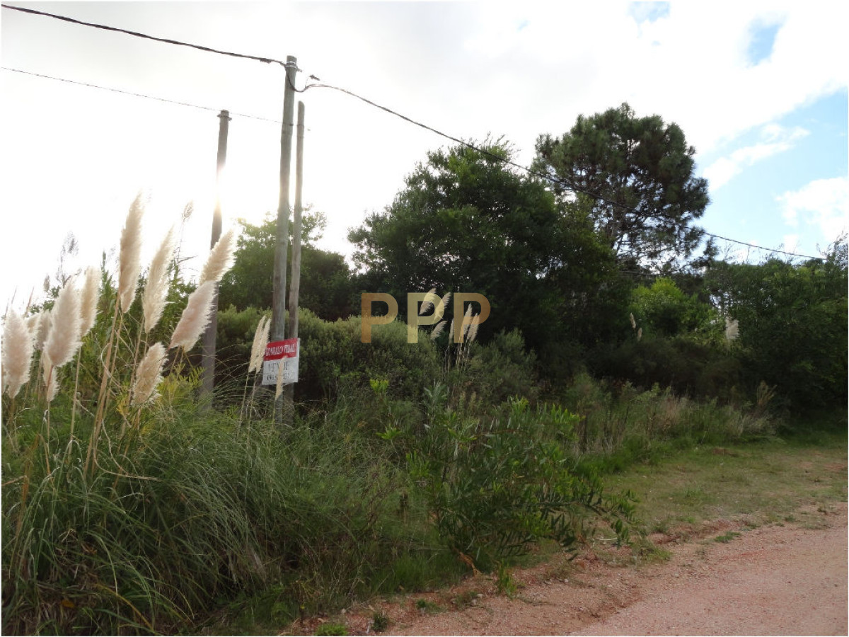 Terreno ID.1998 - Terreno en La Barra, Montoya