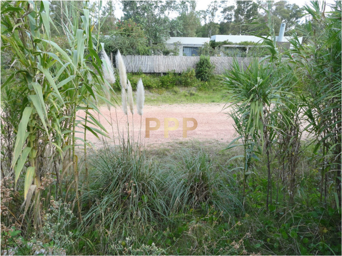 Terreno ID.1998 - Terreno en La Barra, Montoya