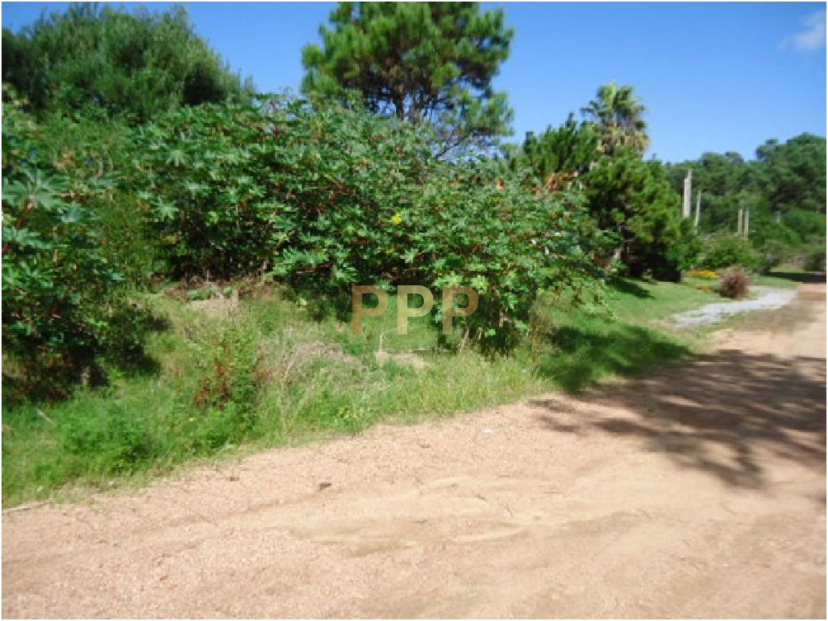 Terreno ID.2004 - Terreno en Punta del Este, RincÃ³n del Indio
