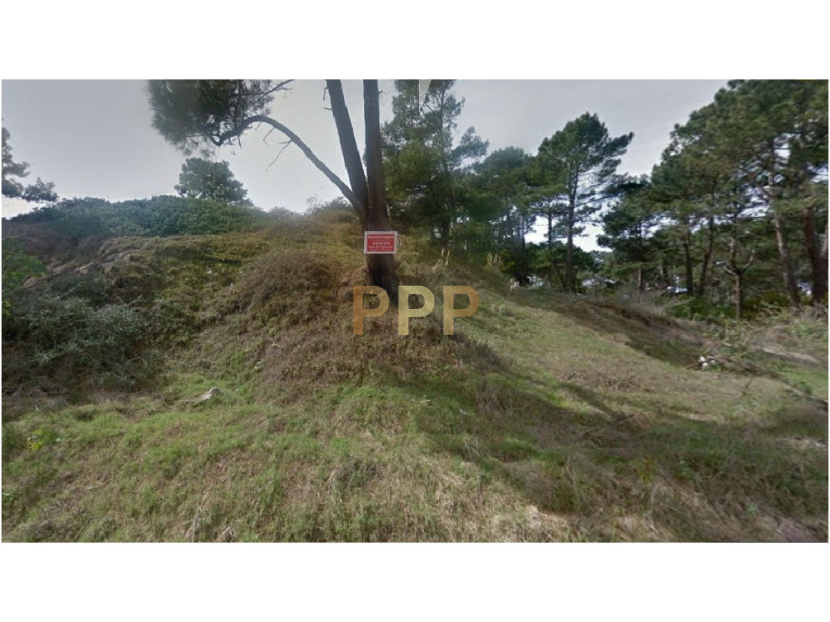 Terreno ID.2009 - Terreno en Punta del Este, RincÃ³n del Indio