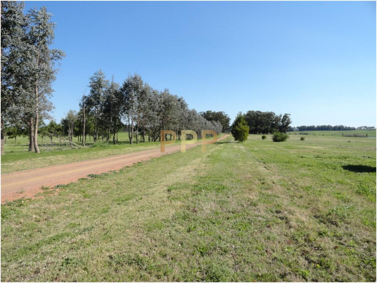 Terreno ID.1992 - Terreno en Punta del Este, Ruta Interbalnearia