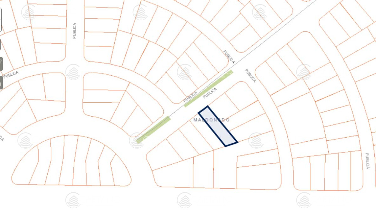 Chihuahua - GoPunta - Portal Inmobiliario de Punta del Este - Maldonado