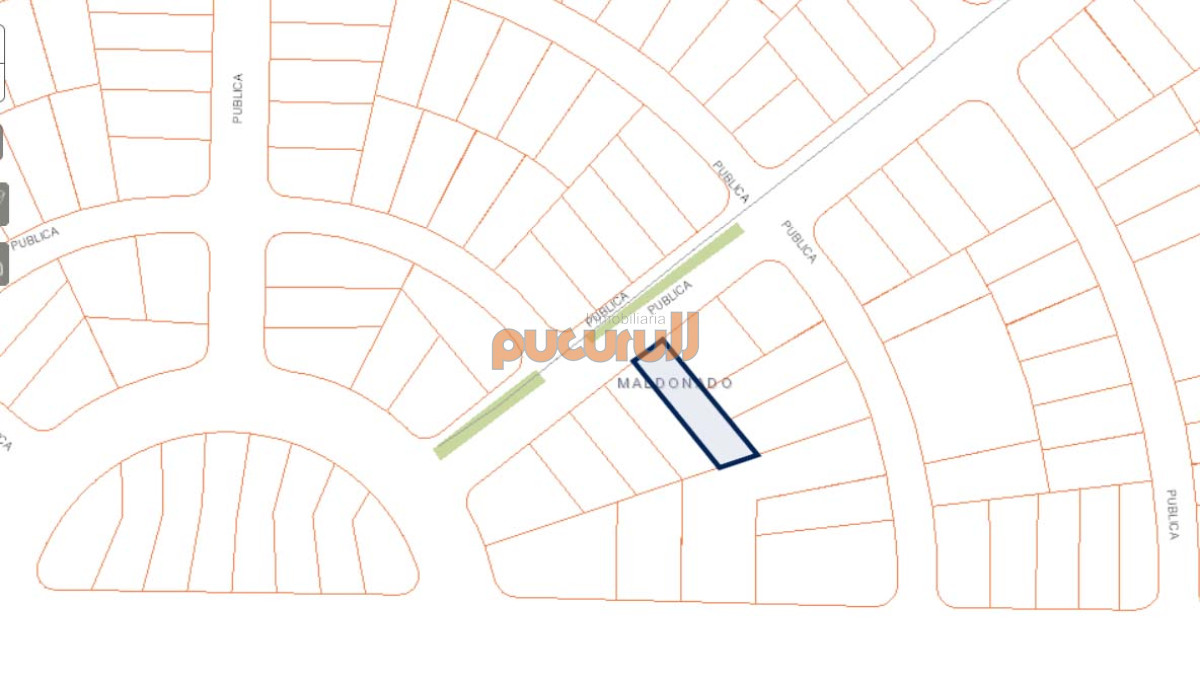 Chihuahua - GoPunta - Portal Inmobiliario de Punta del Este - Maldonado
