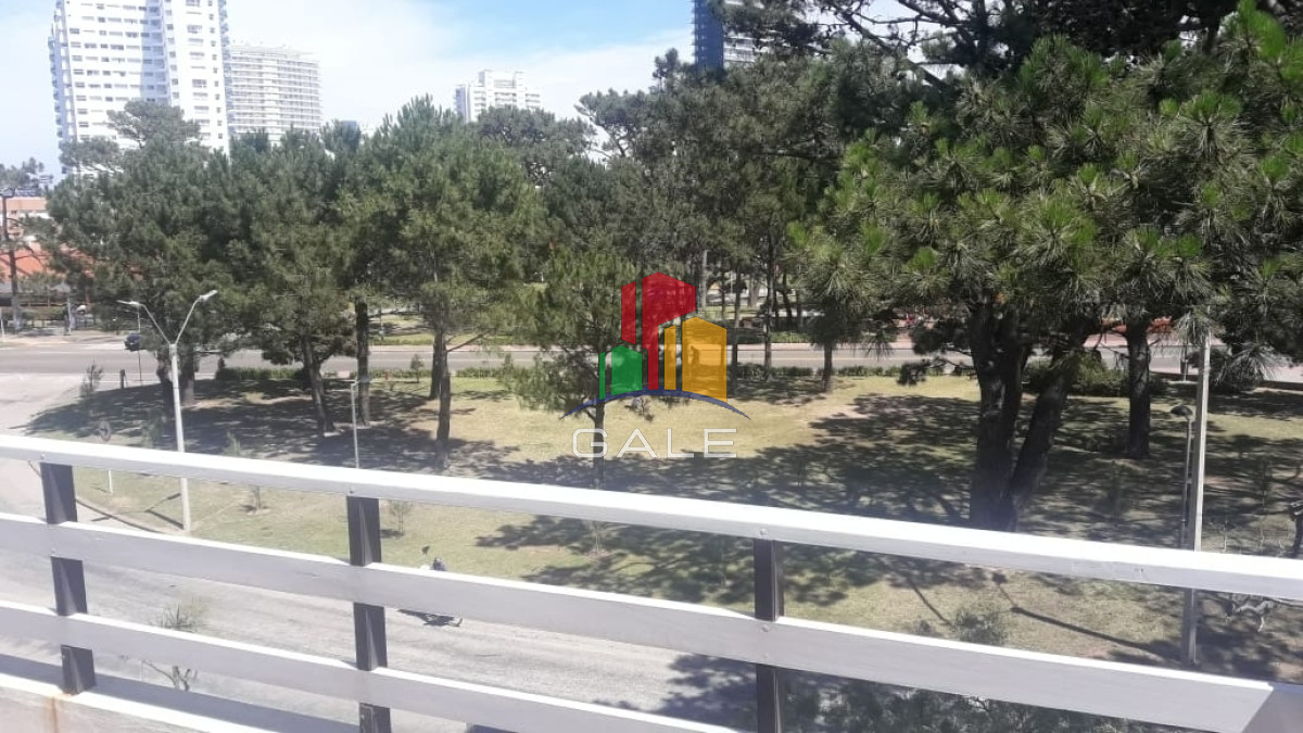 Aidy Grill - GoPunta - Portal Inmobiliario de Punta del Este - Maldonado