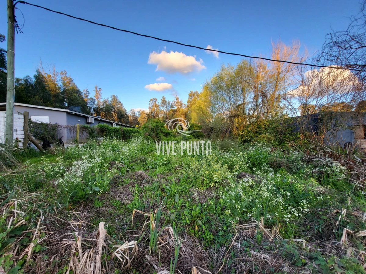 Terreno ID.1089 - VENTA - Terreno en el Tesoro 900 m