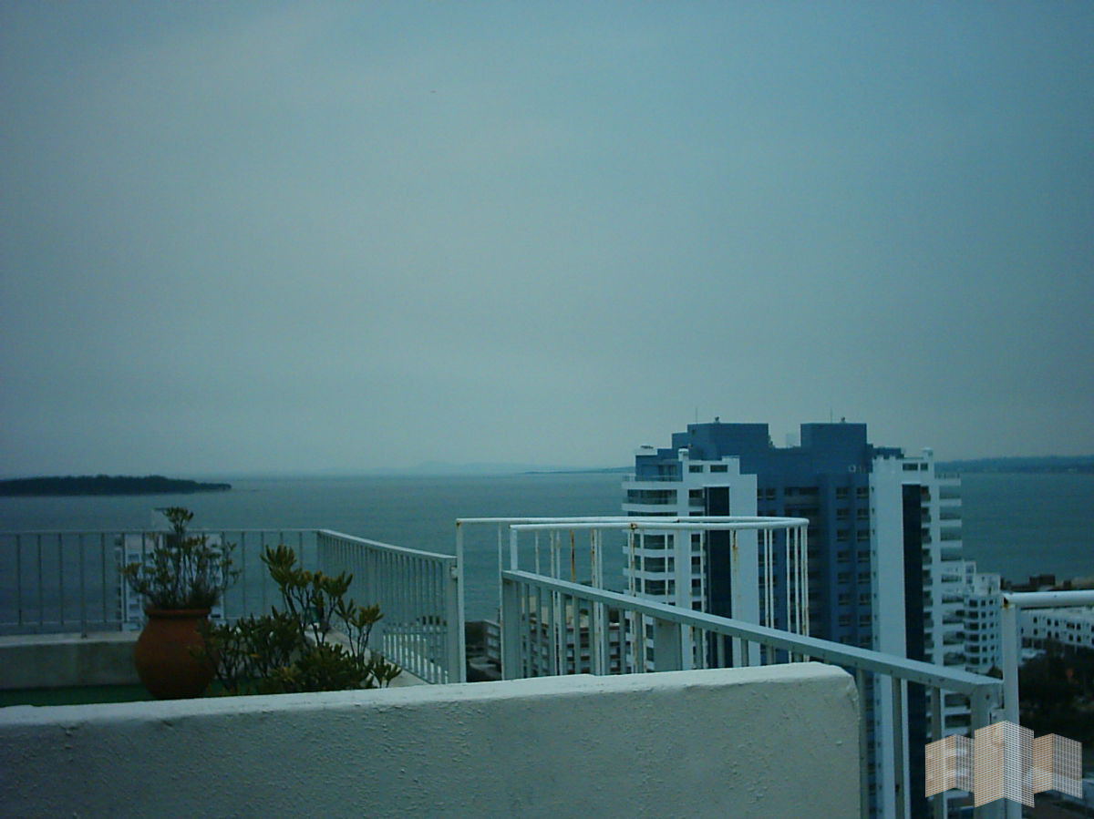 Apartamento ID.1172 - Apartamento en Punta del Este, Brava