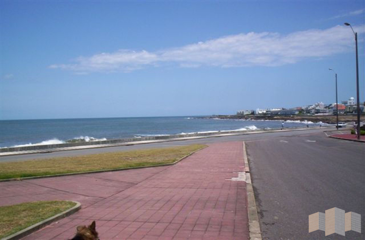 Apartamento ID.421 - Apartamento en Punta del Este, Península
