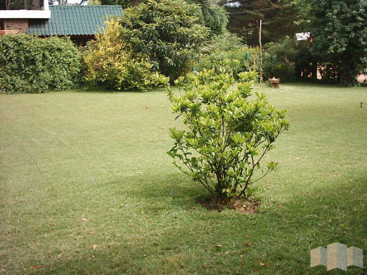 Casa ID.1938 - MUY LINDA Y DISFRUTABLE