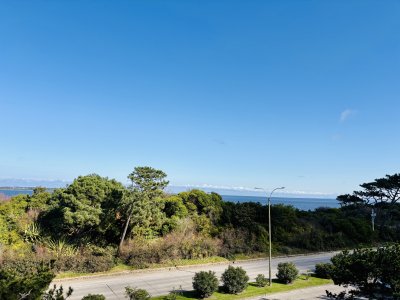 nuevo ingreso! apartamento en venta de 3 dormitorios en primera línea 
