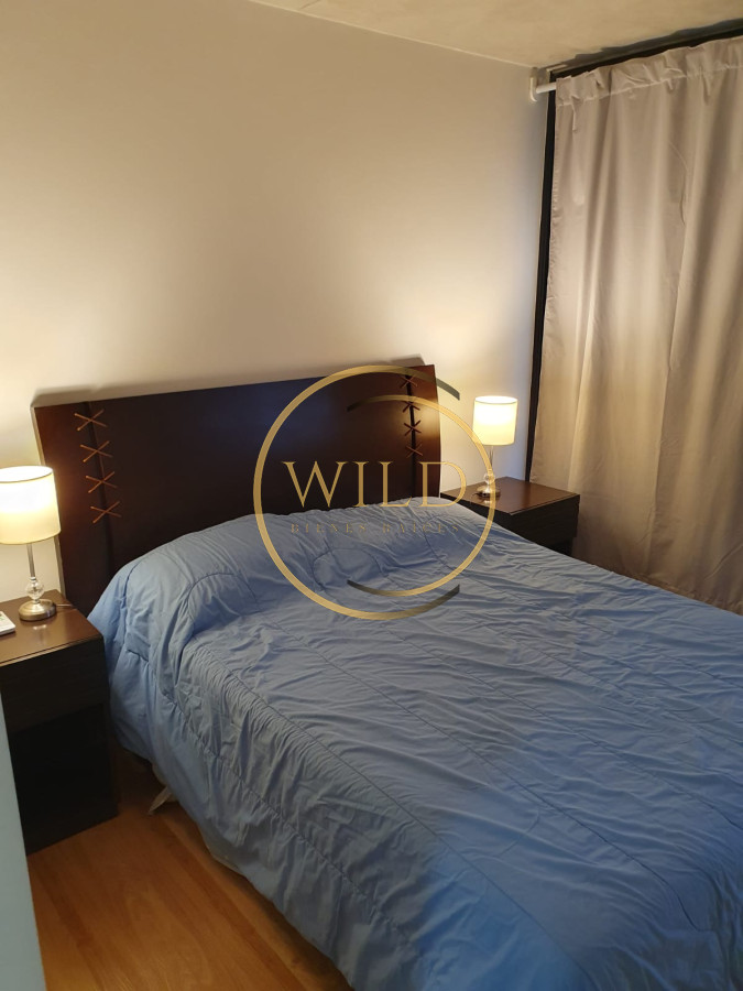 Apartamento ID.2247 - alquiler anual 1 dormitorio 