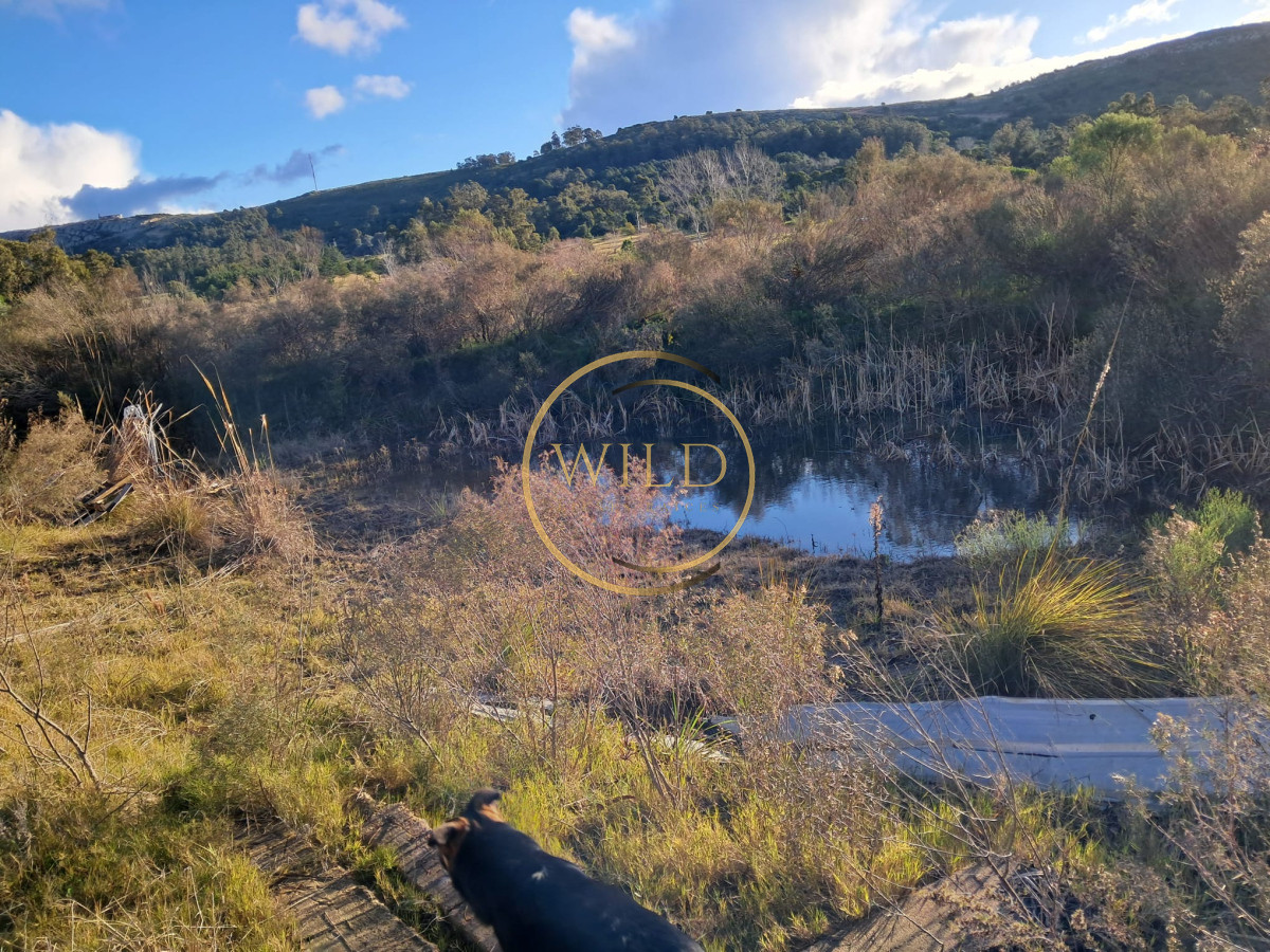 Chacra ID.2321 - HERMOSA CHACRA EN VENTA 