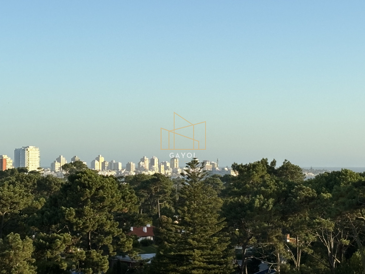 Apartamento ID.994 - Excelente apartamento con vista 3 dormitorios Stradivarius 