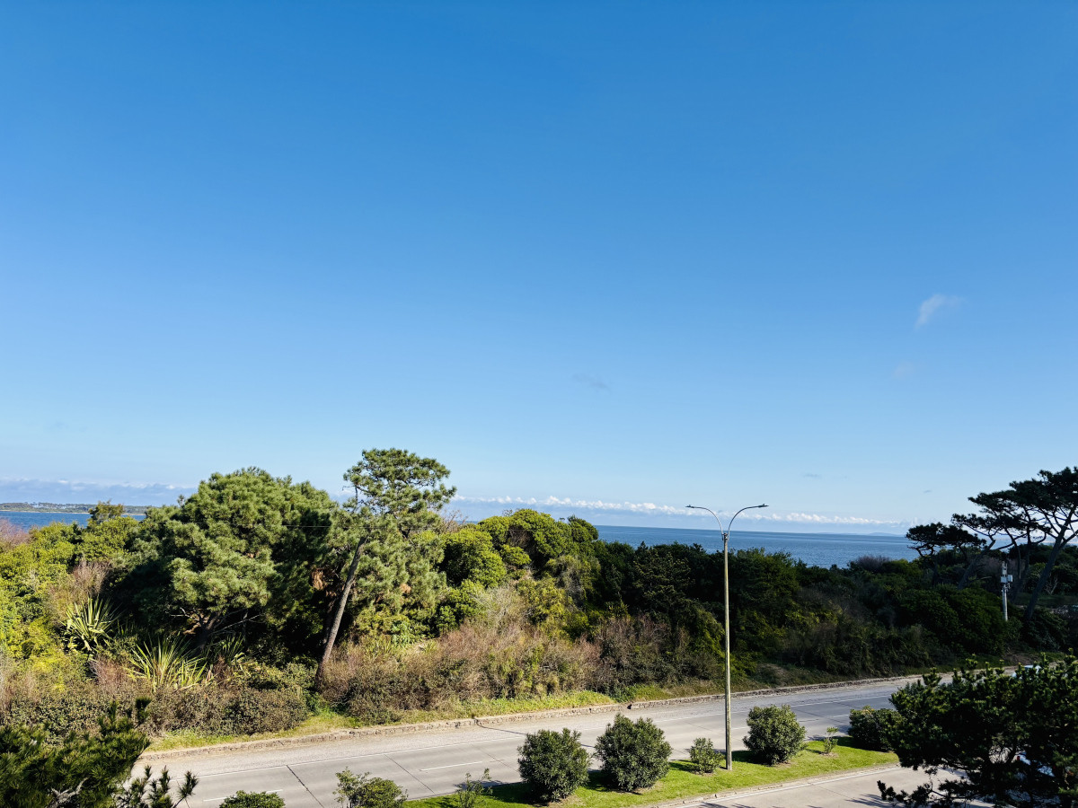 nuevo ingreso! apartamento en venta de 3 dormitorios en primera línea 