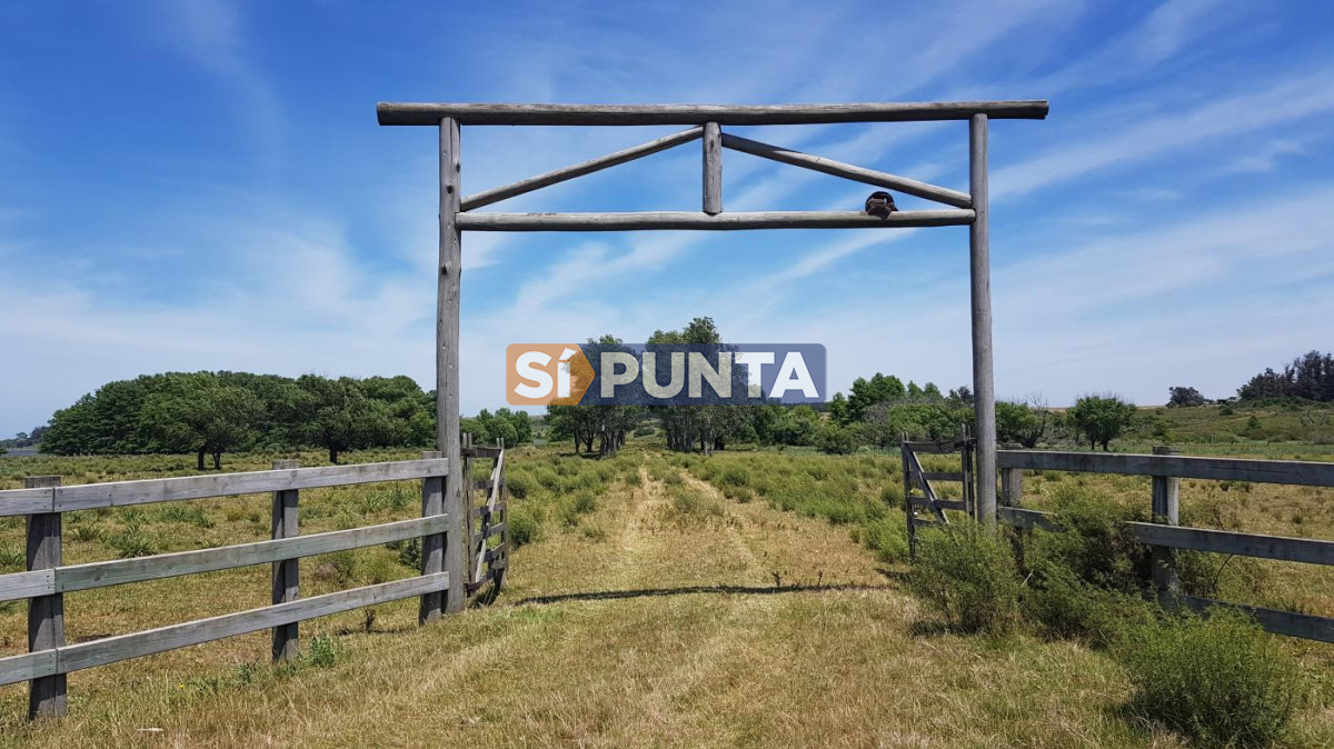 Campo Ref.13652 - Campos y Fracciones en Punta del Este (Laguna del Sauce) Ref.4205