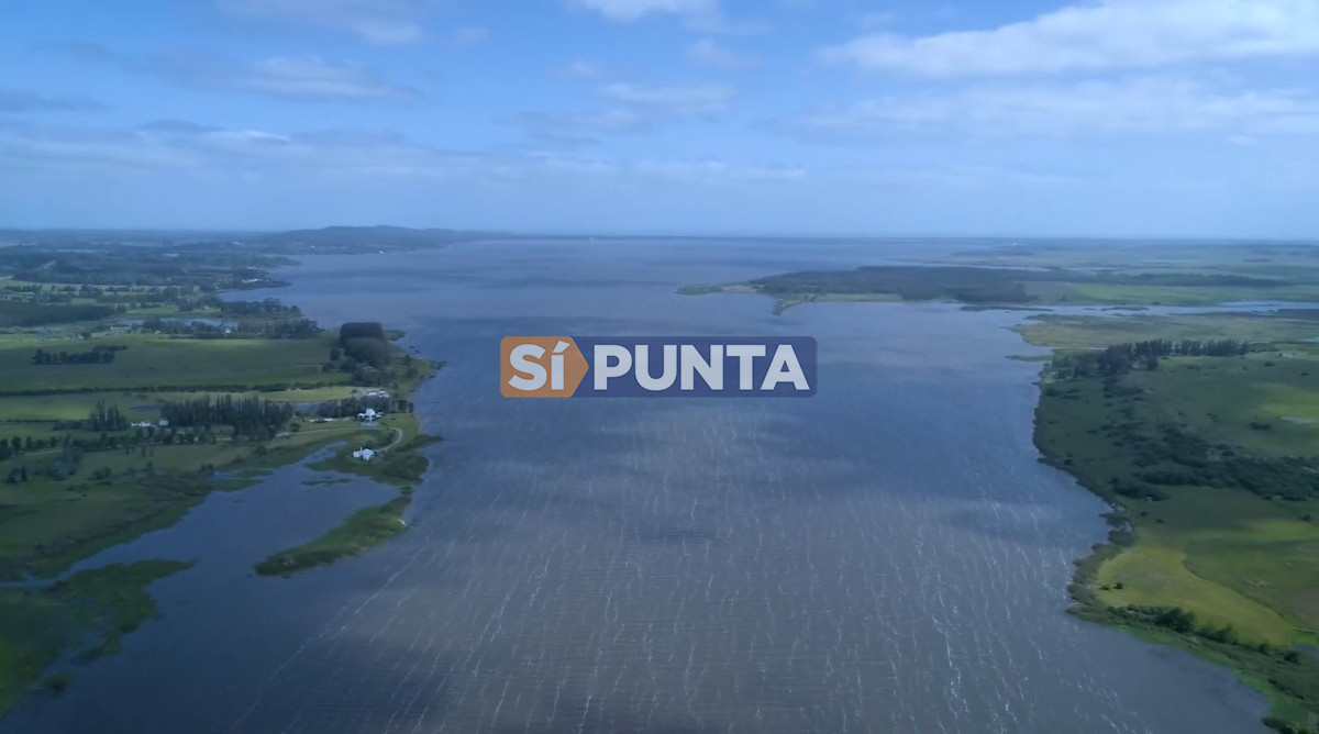 Campo Ref.13652 - Campos y Fracciones en Punta del Este (Laguna del Sauce) Ref.4205