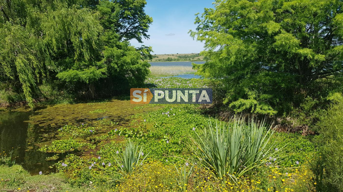 Campo Ref.13652 - Campos y Fracciones en Punta del Este (Laguna del Sauce) Ref.4205