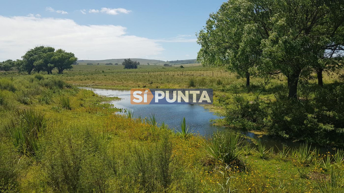 Campo Ref.13652 - Campos y Fracciones en Punta del Este (Laguna del Sauce) Ref.4205