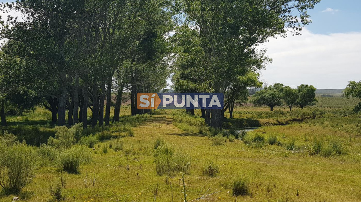 Campo Ref.13652 - Campos y Fracciones en Punta del Este (Laguna del Sauce) Ref.4205