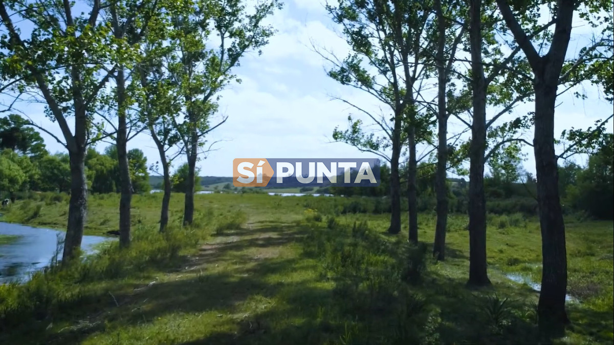 Campo Ref.13652 - Campos y Fracciones en Punta del Este (Laguna del Sauce) Ref.4205