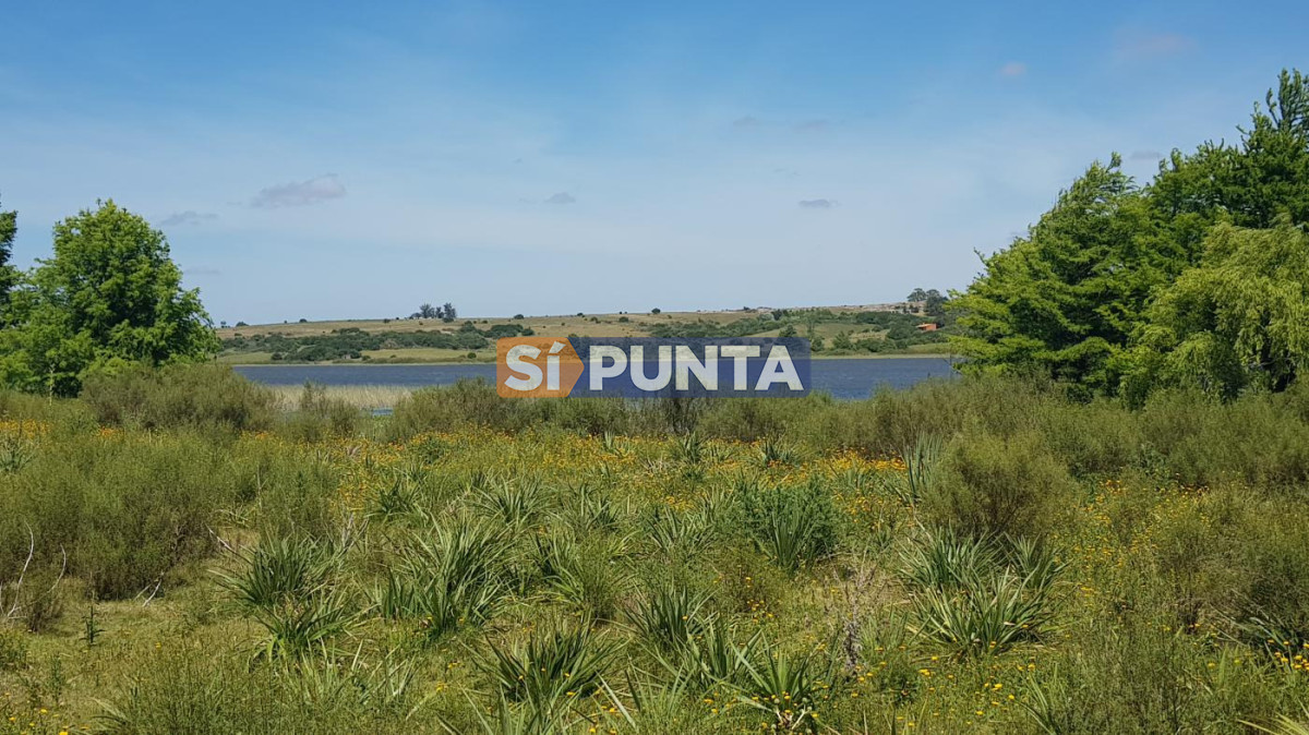 Campo Ref.13652 - Campos y Fracciones en Punta del Este (Laguna del Sauce) Ref.4205