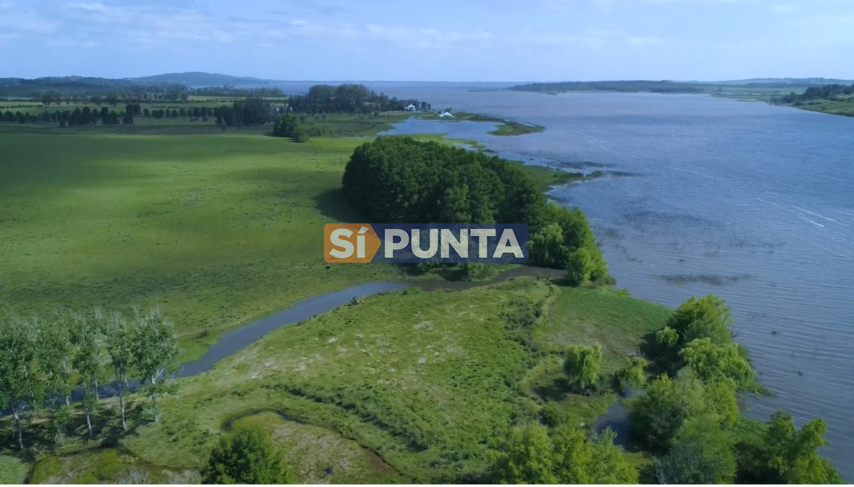 Campo Ref.13652 - Campos y Fracciones en Punta del Este (Laguna del Sauce) Ref.4205