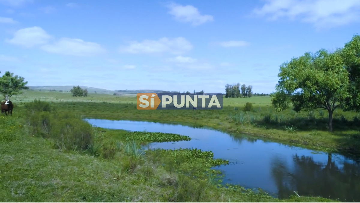 Campo Ref.13652 - Campos y Fracciones en Punta del Este (Laguna del Sauce) Ref.4205