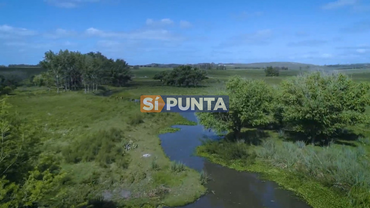 Campo Ref.13652 - Campos y Fracciones en Punta del Este (Laguna del Sauce) Ref.4205