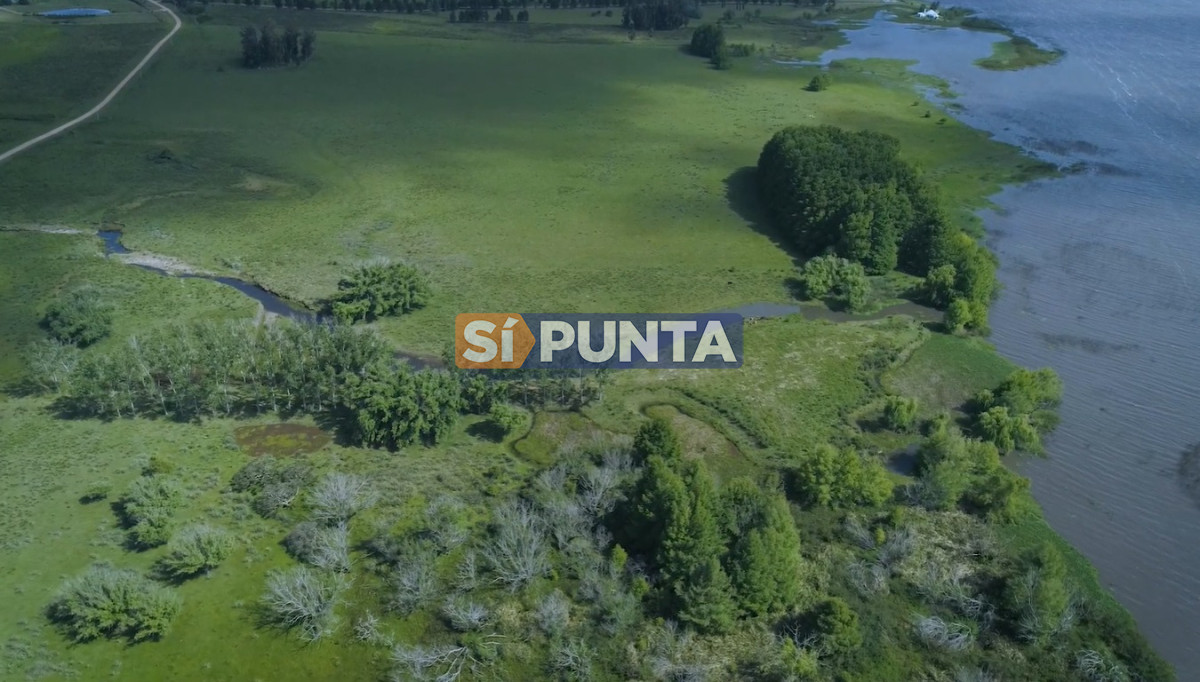 Campo Ref.13652 - Campos y Fracciones en Punta del Este (Laguna del Sauce) Ref.4205