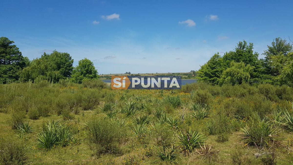 Campo Ref.13652 - Campos y Fracciones en Punta del Este (Laguna del Sauce) Ref.4205