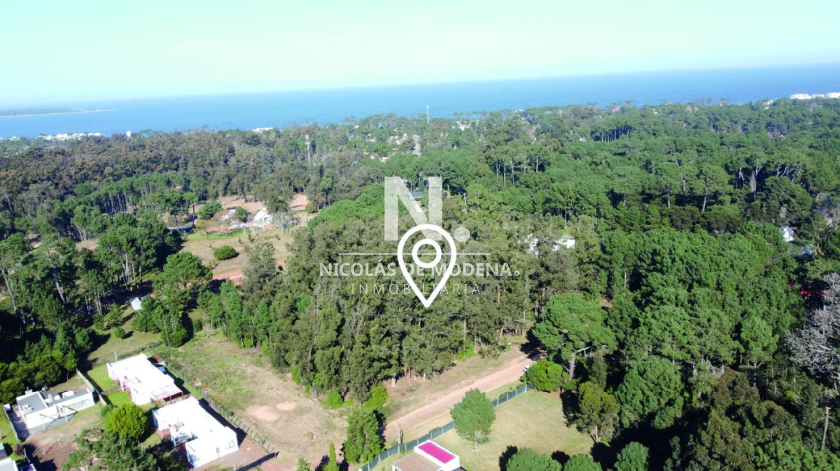Burnett - GoPunta - Portal Inmobiliario de Punta del Este - Maldonado
