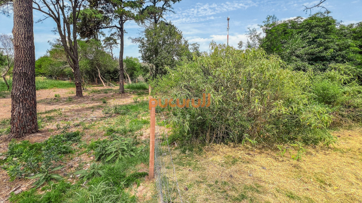 Terreno ID.2693 - Terreno Ocean Park Ref. 7397