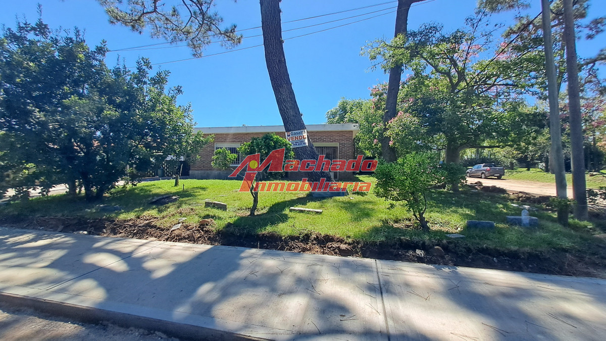 Aidy Grill - GoPunta - Portal Inmobiliario de Punta del Este - Maldonado