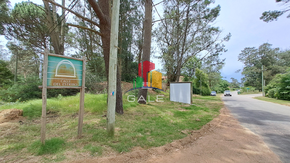 Burnett - GoPunta - Portal Inmobiliario de Punta del Este - Maldonado