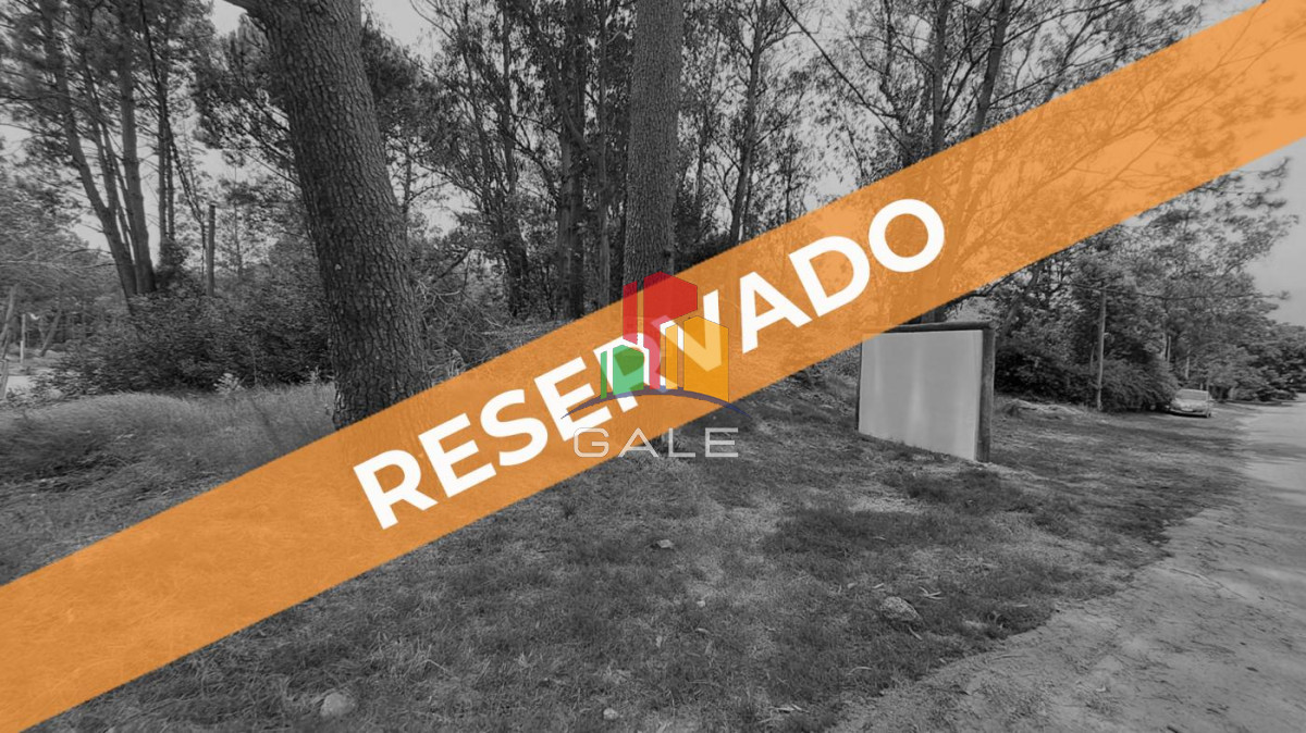 Burnett - GoPunta - Portal Inmobiliario de Punta del Este - Maldonado