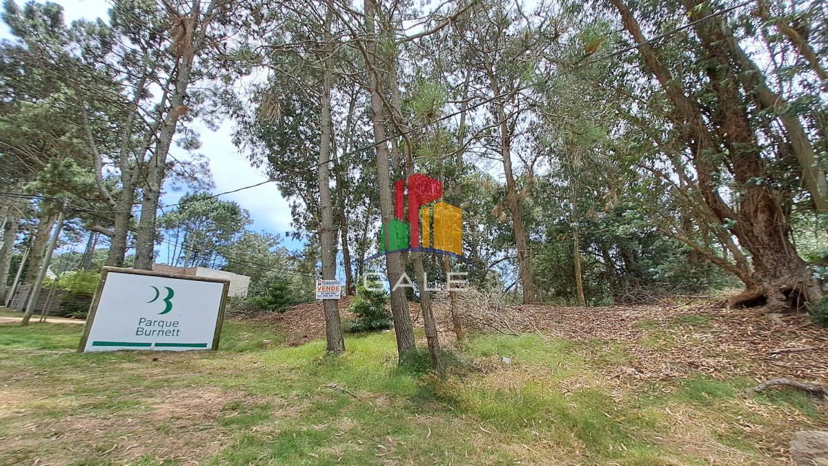 Burnett - GoPunta - Portal Inmobiliario de Punta del Este - Maldonado