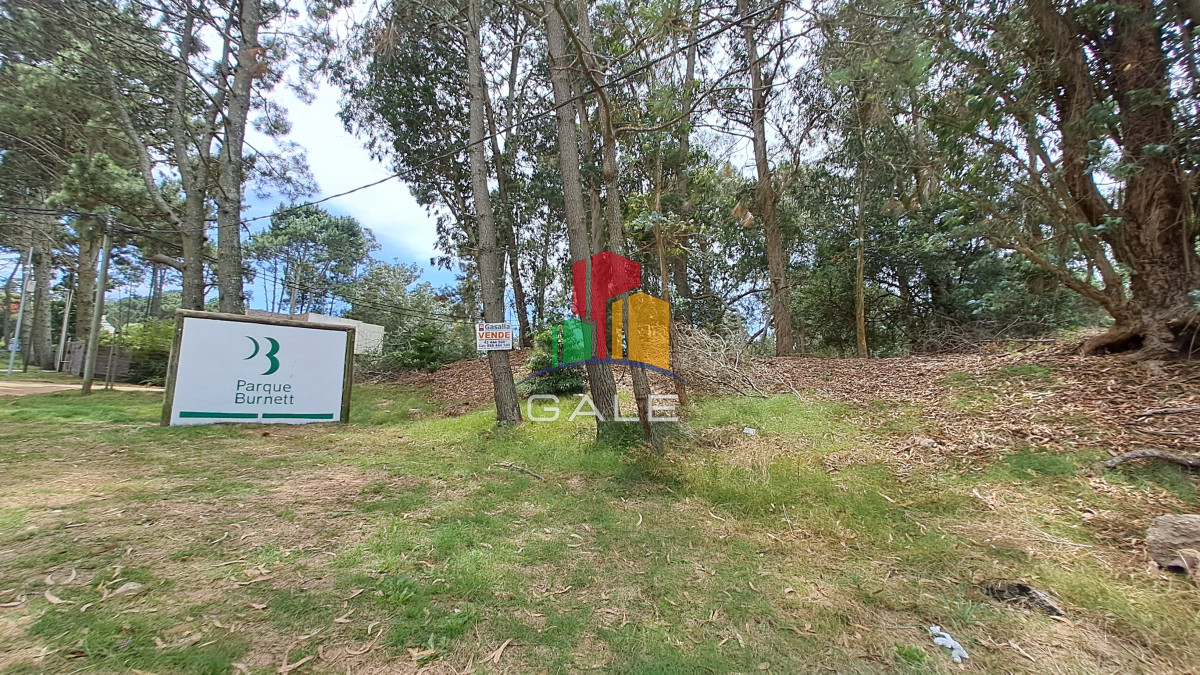 Burnett - GoPunta - Portal Inmobiliario de Punta del Este - Maldonado