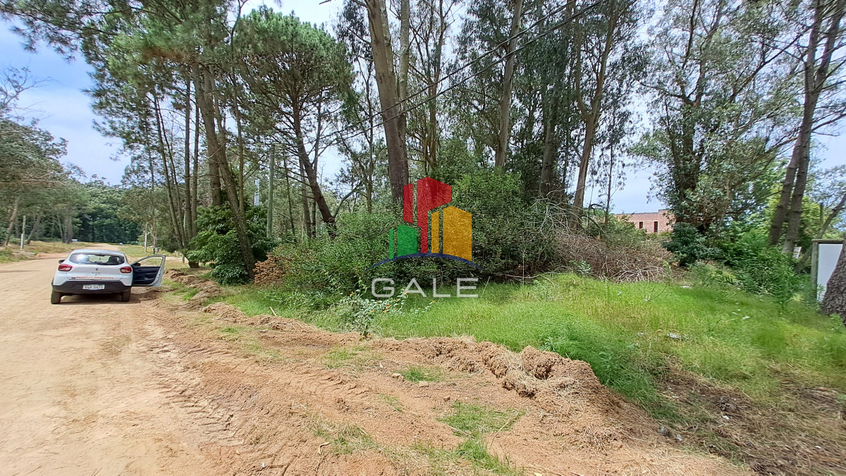 Burnett - GoPunta - Portal Inmobiliario de Punta del Este - Maldonado
