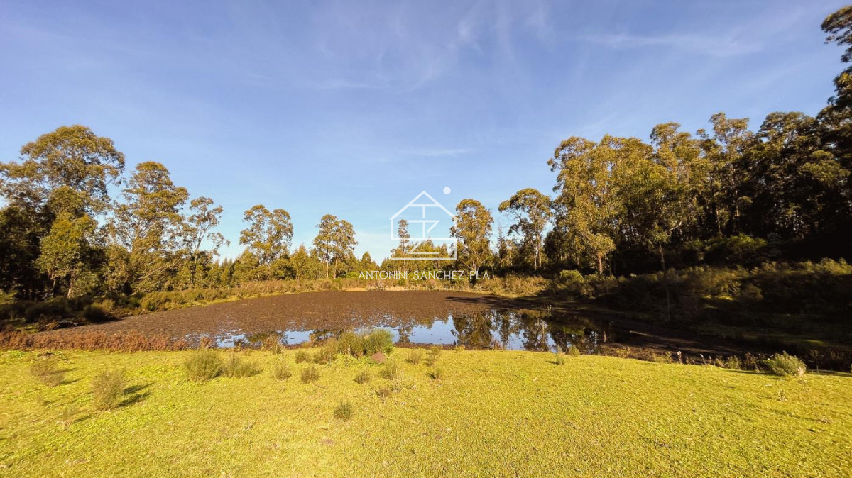 Chacra ID.4034 - Chacra en venta en Piriápolis