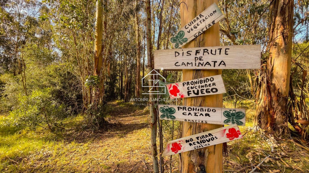 Chacra ID.4033 - En venta Chacra en Pan de Azucar