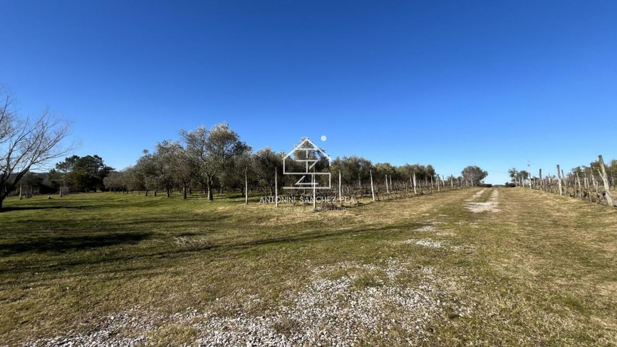 Chacra ID.4036 - Chacra en venta en Piriapolis