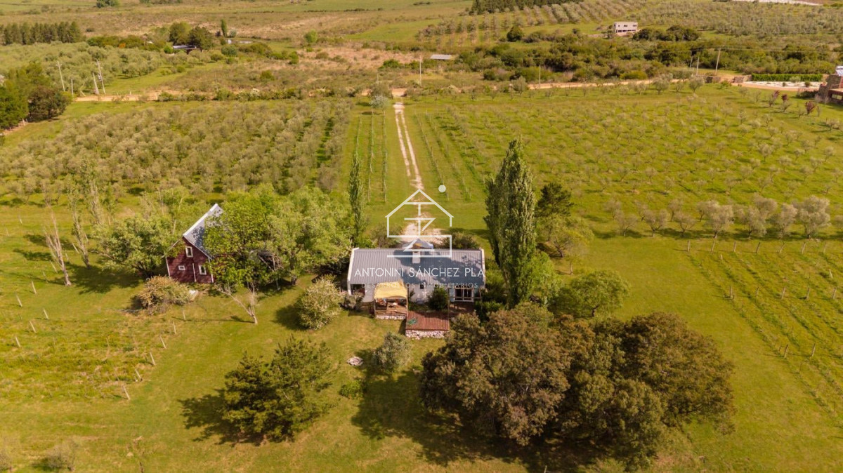 Chacra ID.4036 - Chacra en venta en Piriapolis