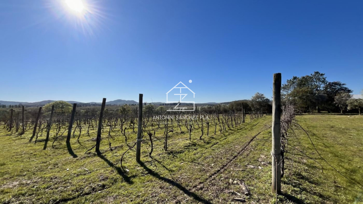 Chacra ID.4036 - Chacra en venta en Piriapolis
