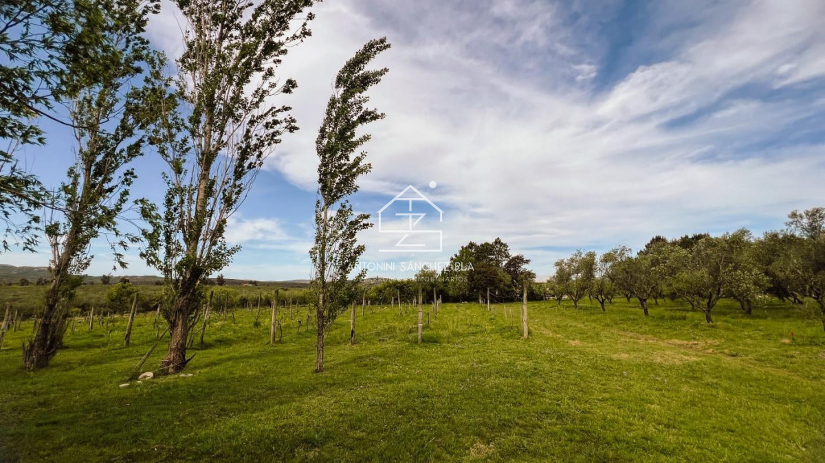 Chacra ID.4036 - Chacra en venta en Piriapolis