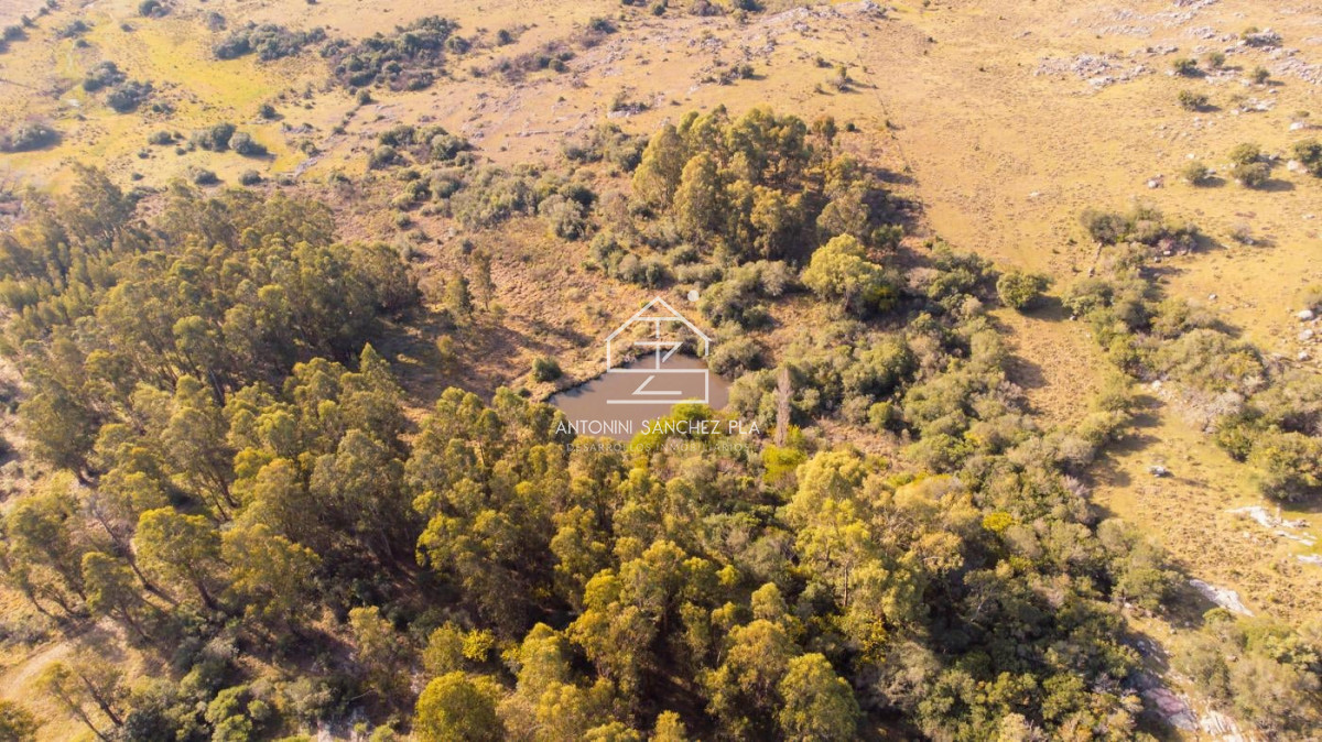 Chacra ID.4033 - En venta Chacra en Pan de Azucar