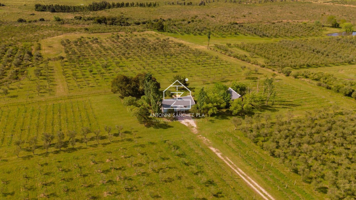 Chacra ID.4036 - Chacra en venta en Piriapolis